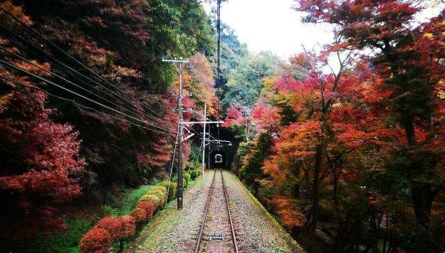 On the steepest cogwheel railway in Japan