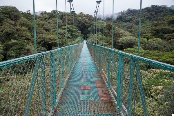 Aventuras en Costa Rica: el tour de canopy en Monteverde