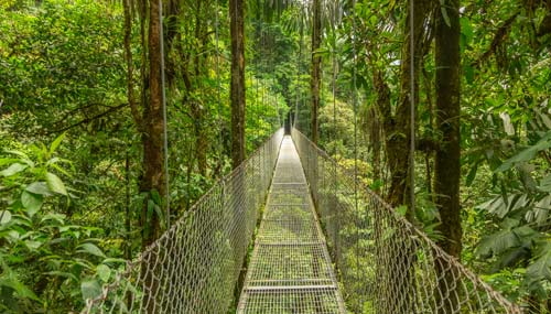 Costa Rica en 5 paradas imperdibles para descubrir el reino del ecoturismo
