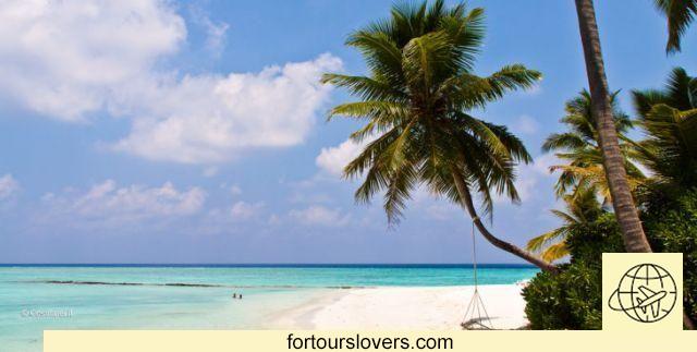 11 cosas que hacer y ver en las Maldivas y 3 que no hacer