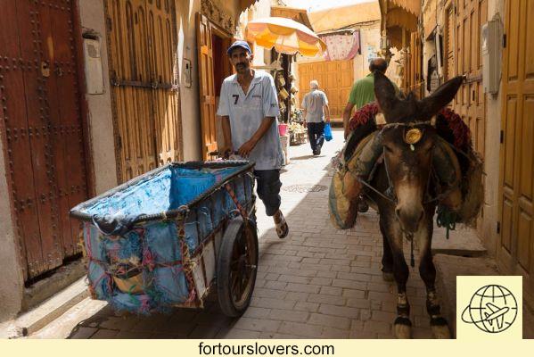 Fez en Marruecos: en los callejones de una medina laberíntica