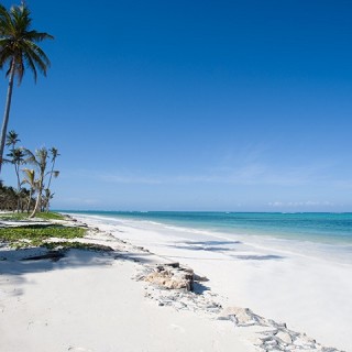 When to go to Zanzibar, Better More
