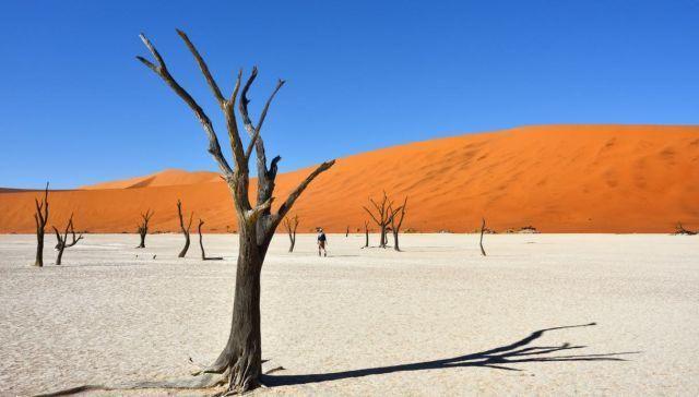Itinéraires aventureux dans le désert namibien