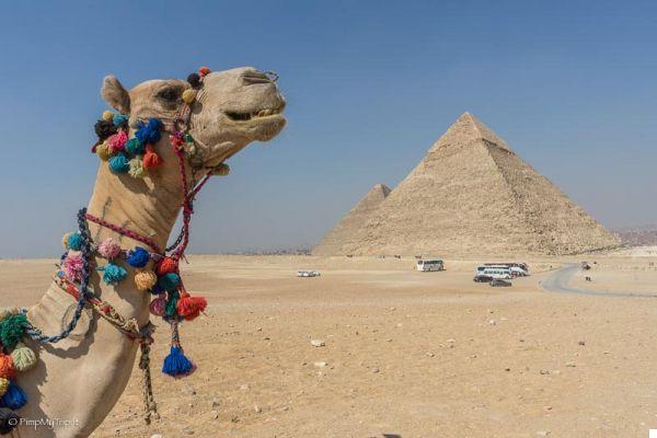 Travel to Egypt Do It Yourself: Guide and Practical Advice