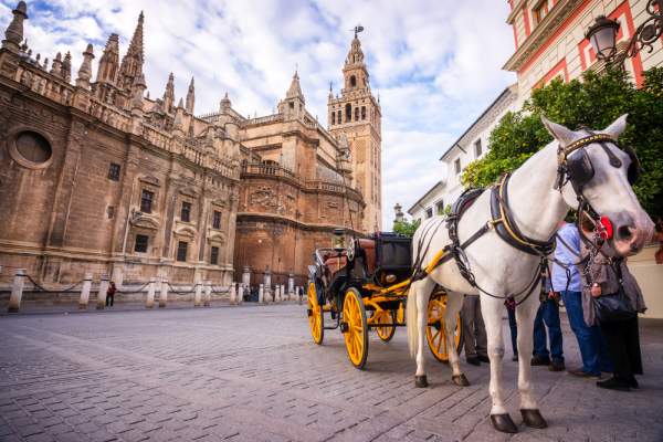 Visit to the Cathedral of Seville: Information and Curiosities
