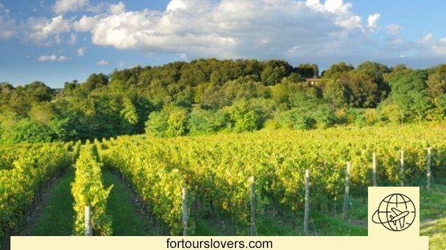 The wine route in Franciacorta, between vineyards and castles