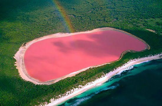 O espetáculo dos lagos rosa: quando a natureza usa cores incríveis
