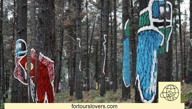 La forêt d'Espagne transformée en œuvre d'art