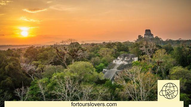 Visite Tikal, el sitio maya más importante de Guatemala
