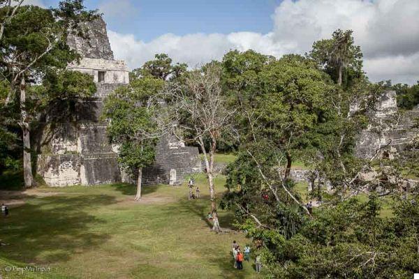 Visite Tikal, o sítio maia mais importante da Guatemala
