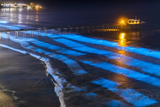 Le phénomène des plages qui s'illuminent la nuit : où et pourquoi cela se produit