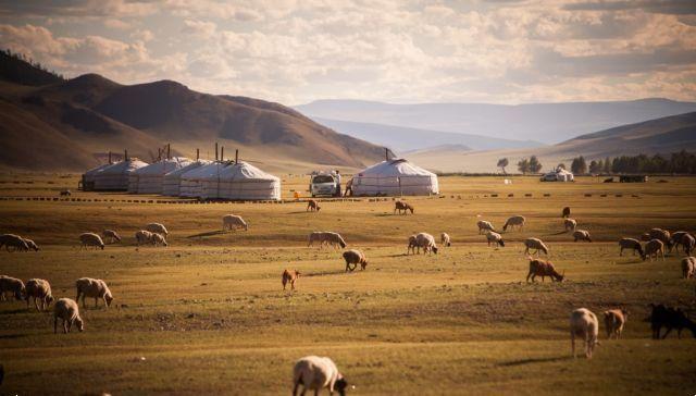 The unforgettable experience of camping in a Mongolian yurt