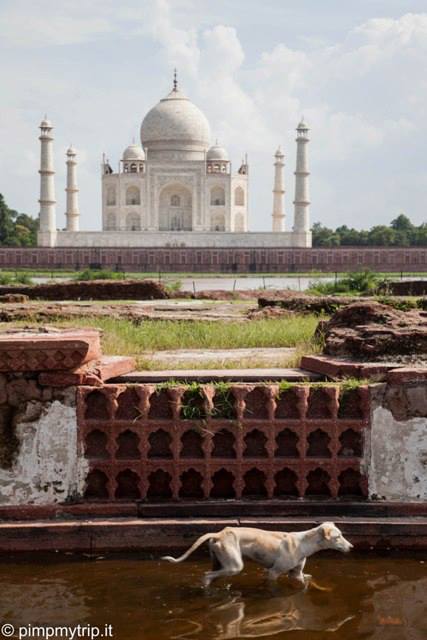 The bad: the negative feelings that the trip to India left me