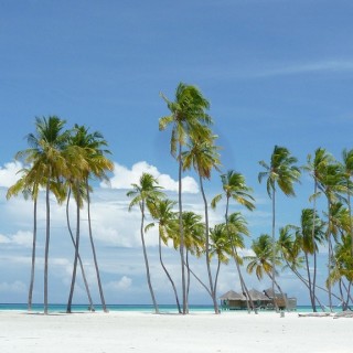 Cuando ir a las Islas Maldivas, Mejor Mes, Clima, Tiempo
