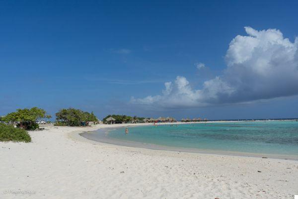 Guía práctica de las playas más hermosas de Aruba