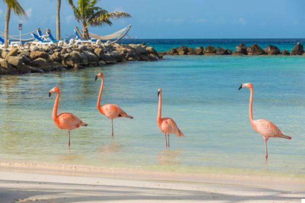 Guia prático das praias mais bonitas de Aruba