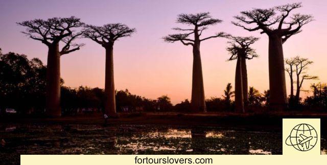 9 things to do and see in Madagascar and 4 not to do