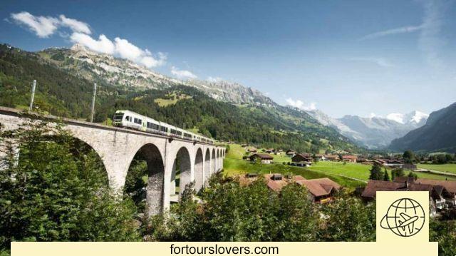 On board the Little Green Train of the Alps between Italy and Switzerland
