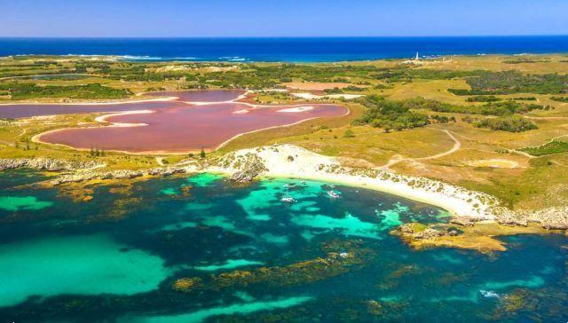 Rottnest Island, descubriendo las playas más bonitas de Australia