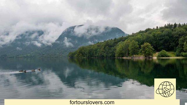 La Slovénie en 4 jours : Valle dell'Isonzo, Kranjska Gora et Bohinj