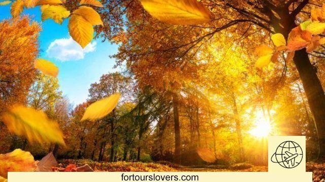 Autumn foliage in Italy, 5 dream destinations
