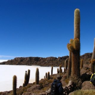 Cuando ir a Bolivia, Mejor Mes, Clima, Tiempo