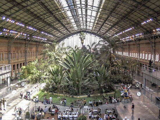 Visit the Atocha station in Madrid
