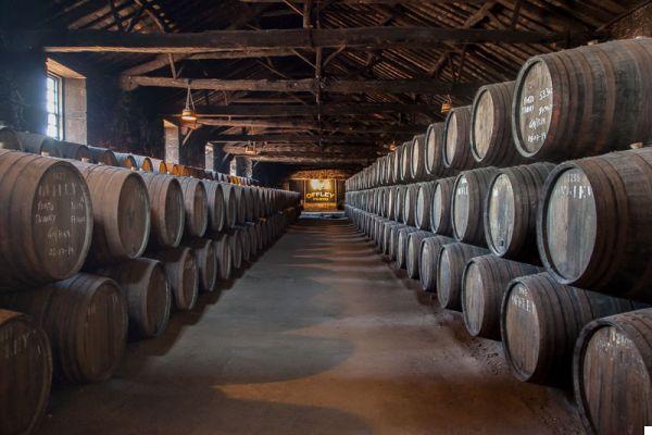Wineries in Porto, The Best to Visit (Tasting Included!)