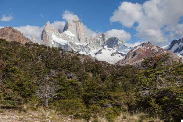 5 Trekking (feasible for anyone) at the foot of Cerro Fitz Roy