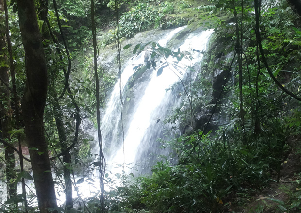 Parque Nacional Manuel Antonio: Costa Rica