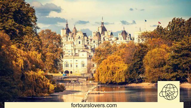 Autumn itineraries: let's discover London
