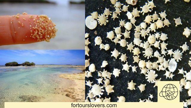 La playa de Japón donde la arena tiene forma de estrella