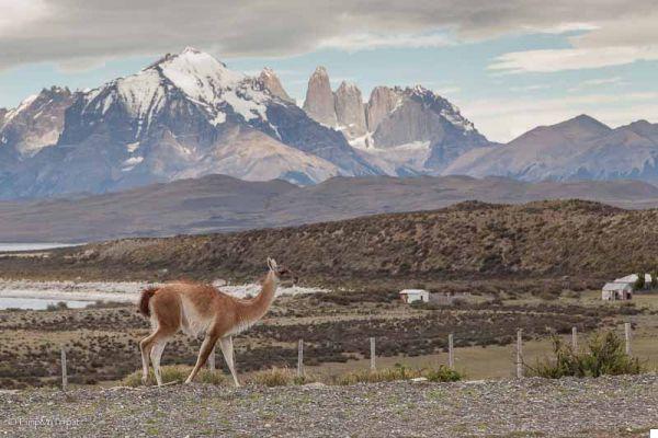 3 days to take your breath away at Torres del Paine National Park