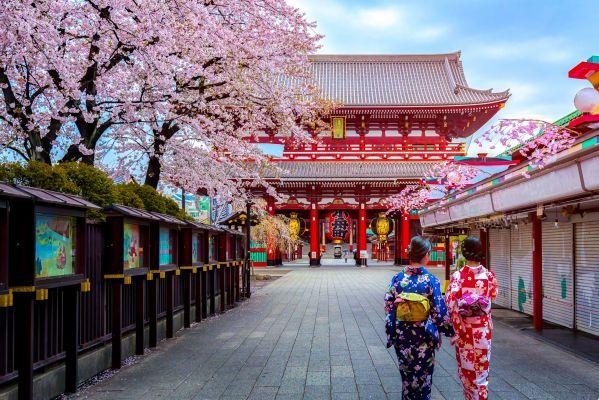 What to see in Japan: entry documents, destinations and cities you can't miss
