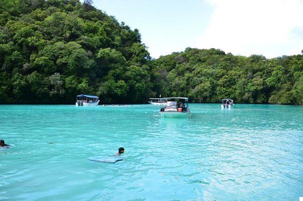 Dans un coin reculé de la Micronésie : Palau