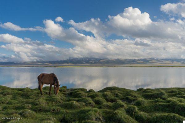 Guía completa para viajar a Kirguistán Hágalo usted mismo