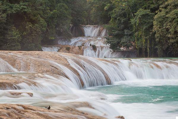 Viaje de aventura en Chiapas: de Palenque a las cascadas de Agua Azul
