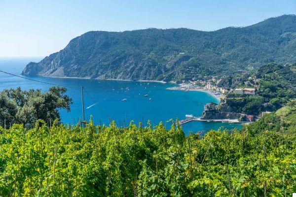 15 conseils « locaux » pour des vacances parfaites dans les Cinque Terre