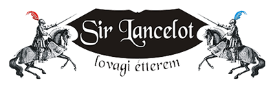 Où manger à Budapest : Sir Lancelot, le restaurant des chevaliers