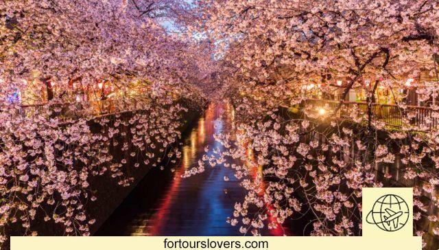 Go to Japan in spring, when the weather is mild.