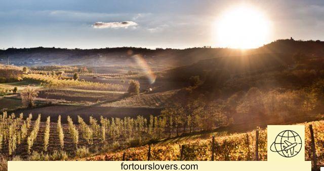 The scents of the Langhe in October