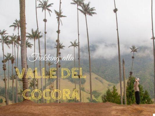 Trekking al Valle de Cocora: todo lo que necesita saber