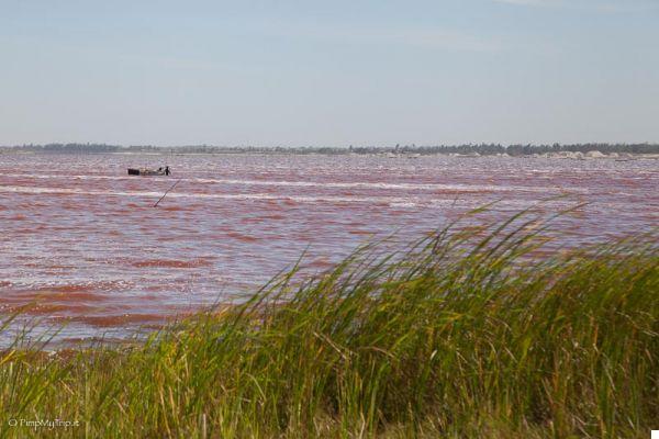 Retba Lake, el maravilloso lago rosado de Senegal