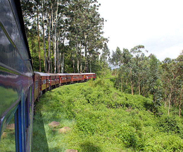 Sri Lanka : visitez le Hill Country, Ella et le train panoramique