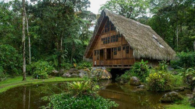 There is an ecolodge immersed in the forest: it's a dream