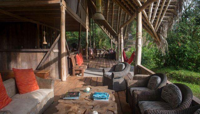 There is an ecolodge immersed in the forest: it's a dream