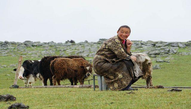 Viagem DIY à Mongólia