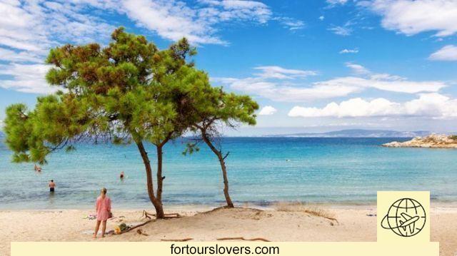 Halkidiki Peninsula: the tropics are in Greece and they are cheap