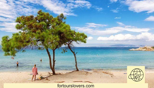 Halkidiki Peninsula: the tropics are in Greece and they are cheap
