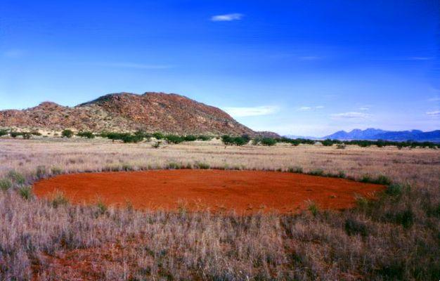 Los Círculos de las Hadas en Namibia: se revela el misterio de su origen
